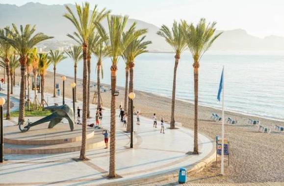 Albir