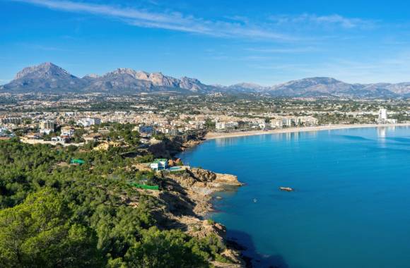 Albir