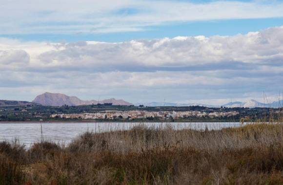 San Miguel de Salinas