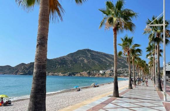 Albir
