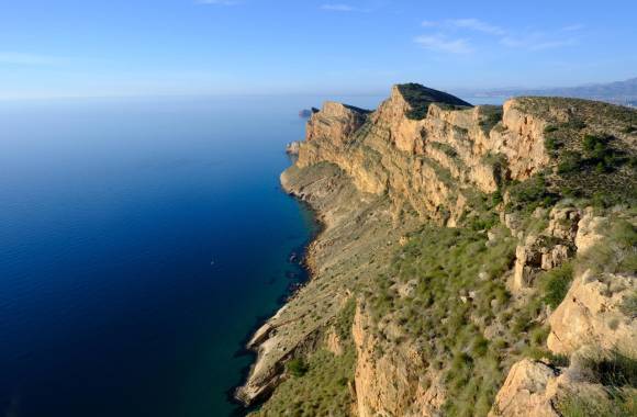 Albir