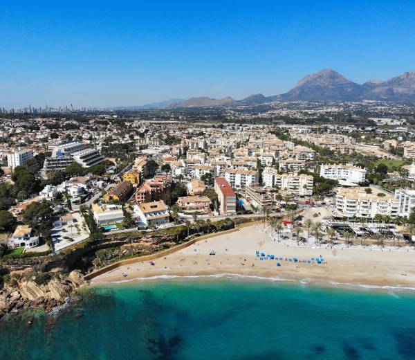 Albir