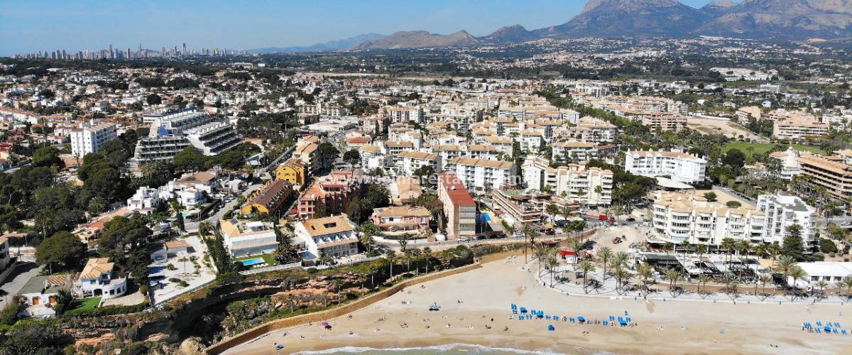 Albir
