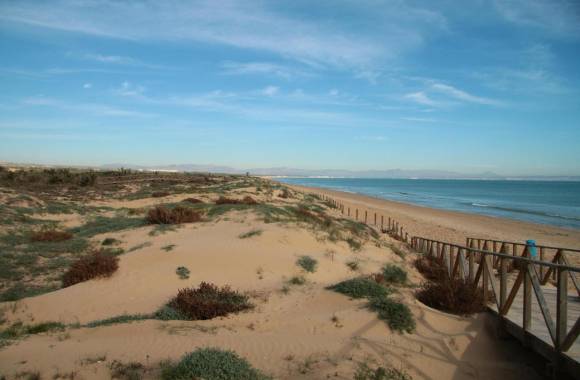 Benijofar