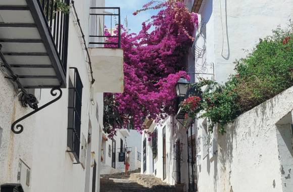 Altea