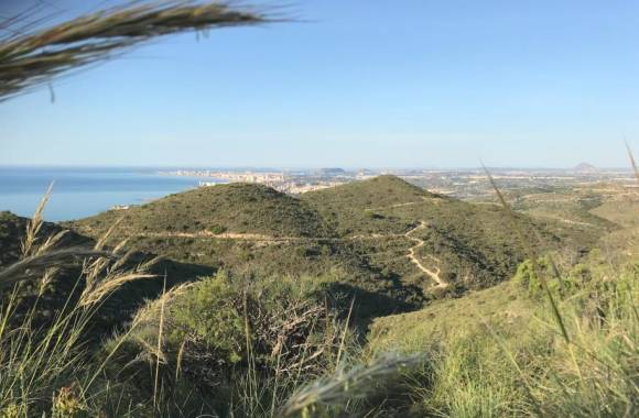 El Campello