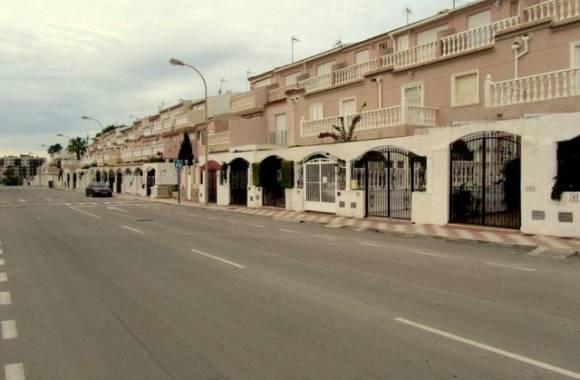 Mil Palmeras