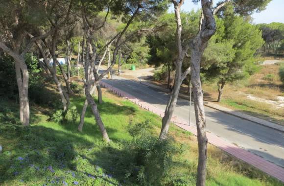 Campoamor