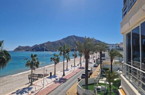 Albir