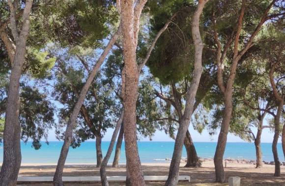 Campoamor