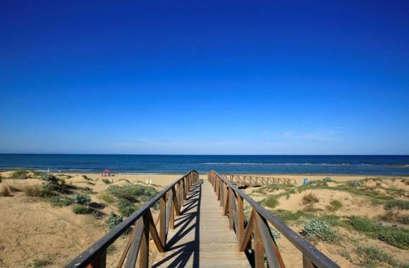 La Mata