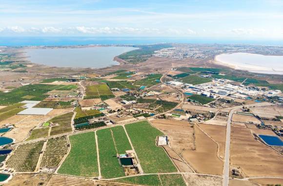 Los Montesinos
