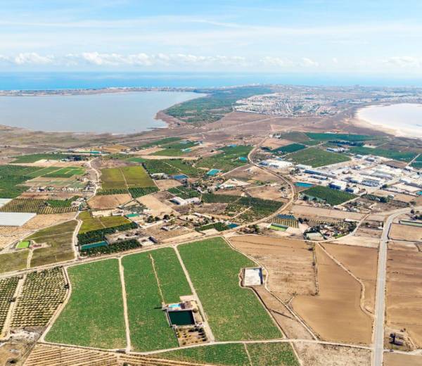 Los Montesinos
