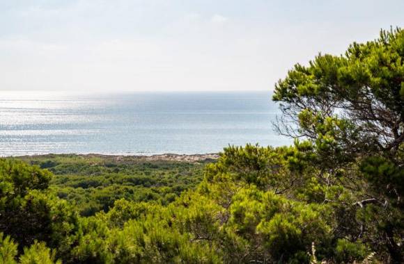 Campoamor