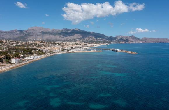 Albir