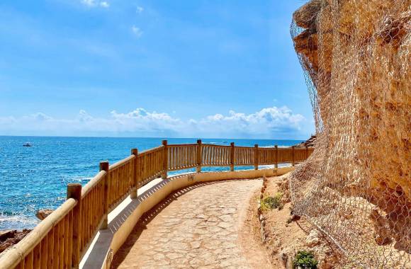 Cabo Roig