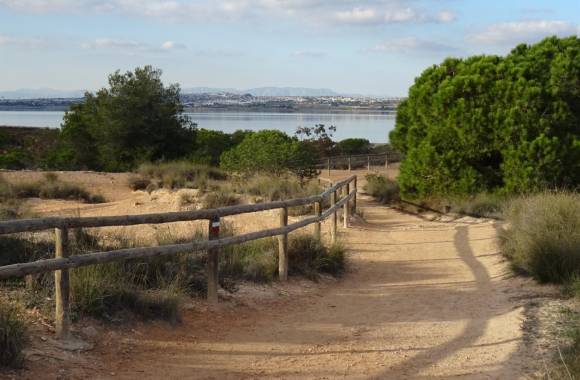 Torrevieja
