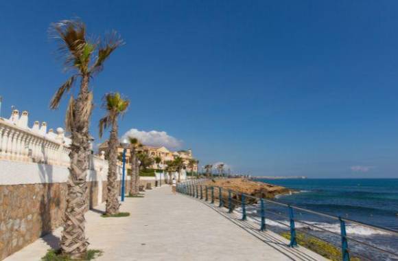 La Zenia