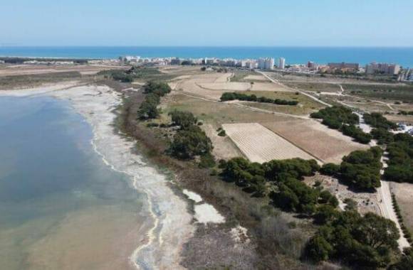 Torrevieja