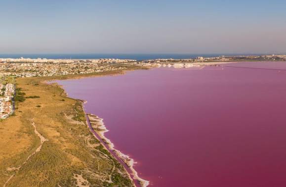 Torrevieja