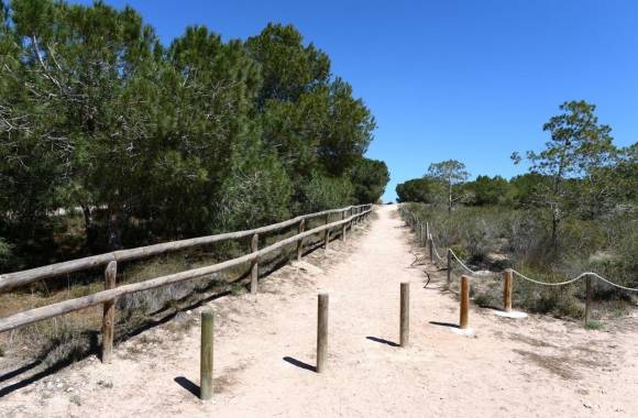 Torrevieja