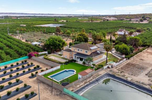 San Miguel de Salinas