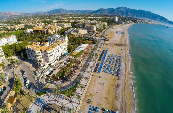 Albir