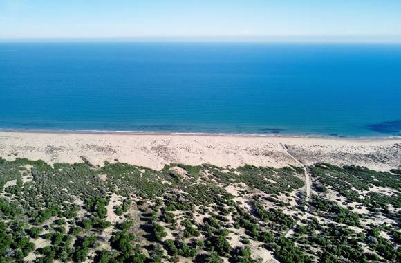 La Marina