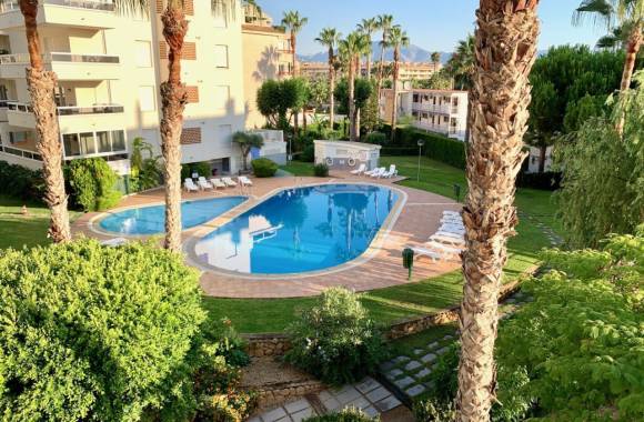 Albir