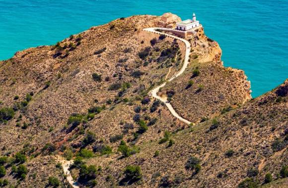 Albir