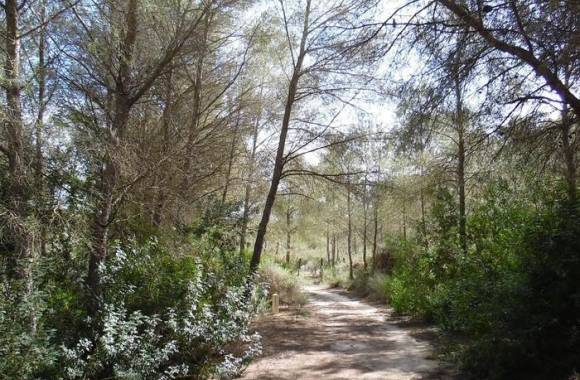 Campoamor