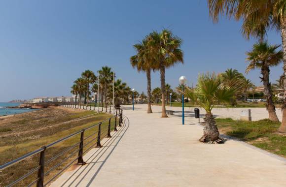 Playa Flamenca