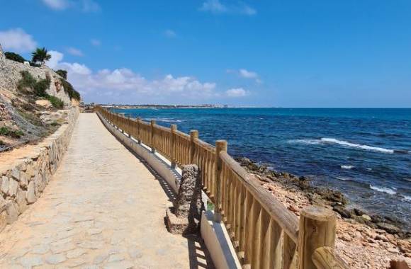 Cabo Roig