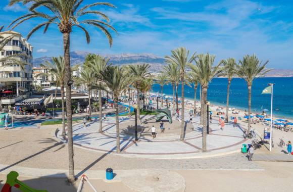 Albir