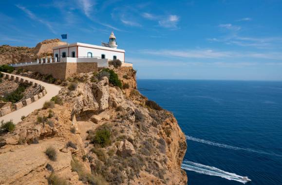 Albir