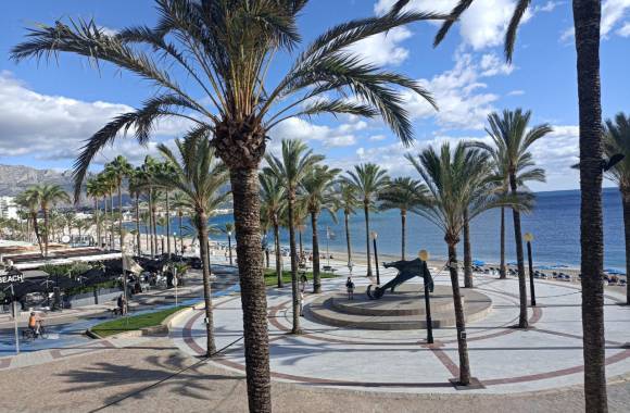 Albir
