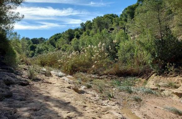 Pinar De Campoverde