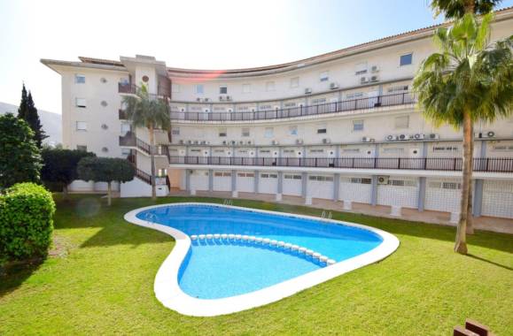 Albir