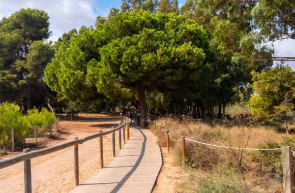 Torrevieja
