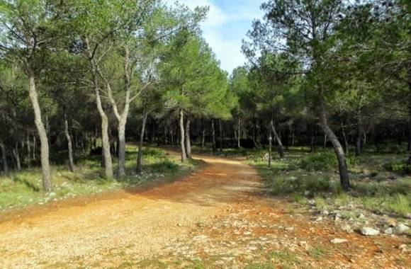 Pinar De Campoverde