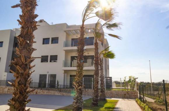 Javea