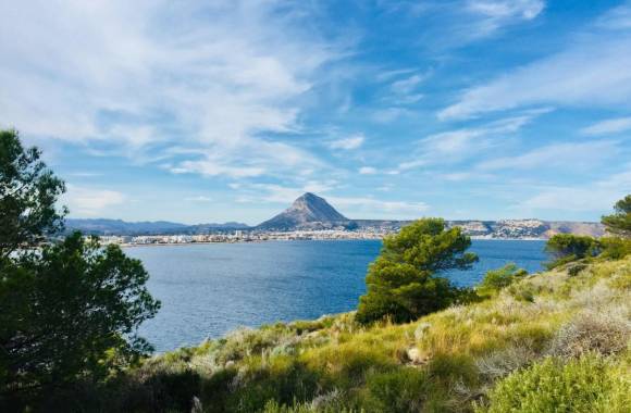 Javea