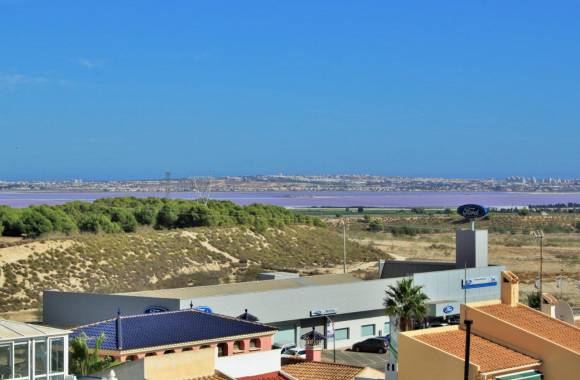 San Miguel de Salinas