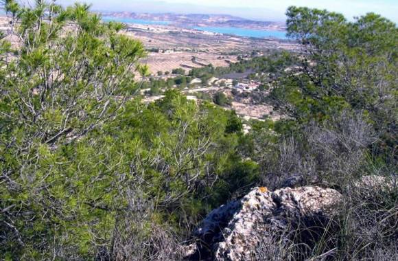 San Miguel de Salinas