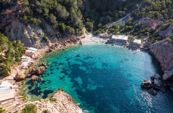 Javea